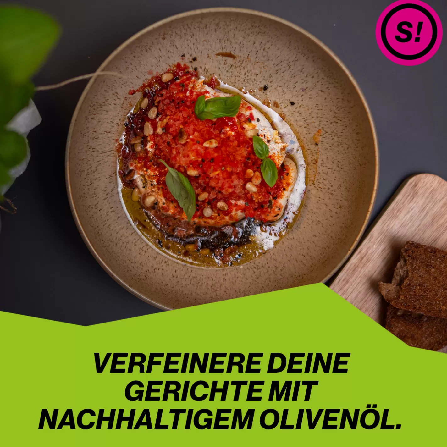 STAY SPICED DIP IT | Gewürze Set & Olivenöl | 3 Gewürze und 1 Olivenöl in der Box Outlet